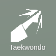 The UI icon of the Taekwondo