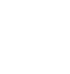Valkyrie Wings HD Icon.png