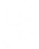 Balloon Archer HD Icon.png