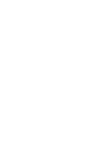 Balloon Backpack HD Icon.png